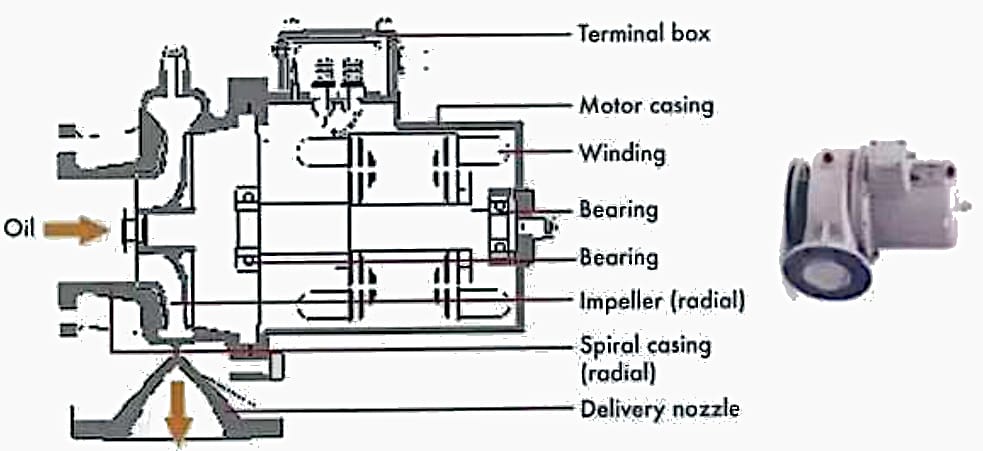Typical vews of an Elbow Type Pumps with a Radial Impeller
